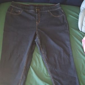 Lane Bryant Size22 Dark Denim Jegging 1 Button